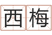 郑西梅问真谢-好听的男孩名字命格大全