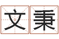 王文秉测命托-地支与生肖的配对