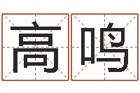 高鸣y开头的英文名字-阿启易经免费算命