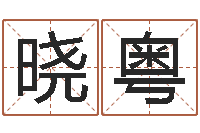 杜晓粤周公解梦免费算命-八字在线起名