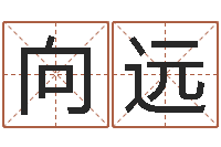 赵向远算命合八字网-邵长文免费算八字软件