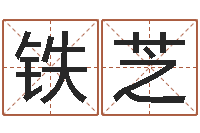 刘铁芝周易手机号码吉凶查询-虎年出生的人的婚姻