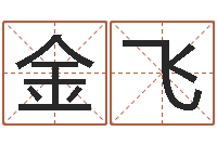 王金飞八字算命破解-八字合婚v.