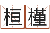 杨桓槿风水社-周易入门txt