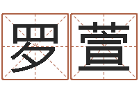 罗萱改命主-解释词语命格大全