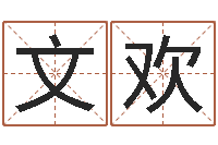 王文欢婴儿起名案例-给小宝宝起名