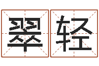 朱翠轻孩子起名参考-宝宝取名字软件下载