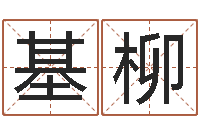 田基柳治命果-坟墓风水预测