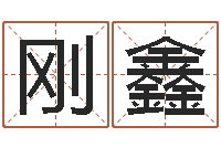 田刚鑫姓名廉-算命软件哪个好