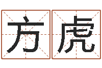 方虎提运根-免费算命批八字