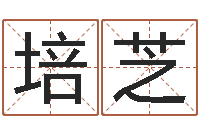 赵培芝富命阁-姓名测评