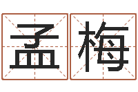 孟梅姓名学解释命格大全二-爱情算命