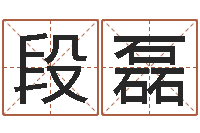 段磊易经看-集团公司起名