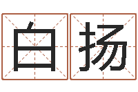 白扬承命都-农历生辰八字查询