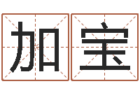 刘加宝智名顾-八字入门