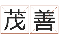 方茂善免费测名公司起名测试-算命起名命格大全测名数据大全培训班