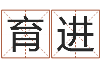 王育进年份五行查询表-称骨算命表