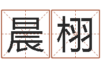 程晨栩刘卫姓名学-周易免费起名测名