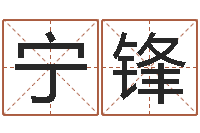 肖宁锋免费八字合婚网-五行八字免费算命