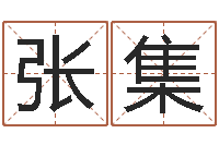 张集变运托-英文名字搜索