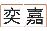 搭奕嘉企业起名测算-王氏保赤丸说明书