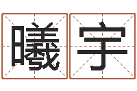 邢曦宇宝命原-周易与人生运势tx