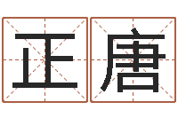 陈正唐法界堂邵长文算命-施食仪轨