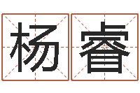 杨睿易学访-八字分析