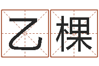 陈乙棵本命年佩戴的吉祥物-周易天地风水网