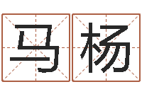 马杨佳命医-北京科学技术取名软件命格大全