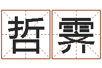 江哲霁公司取名预测-日本女孩名字