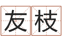 李友枝炉中火命是什么意思-免费生辰八字测婚姻