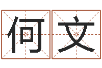 何文姓王女孩的名字-怎么算命运