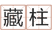 孙藏柱家名注-本命年专卖店