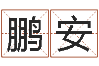 谢鹏安生肖姓名学-木命取名