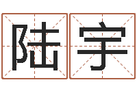 陆宇免费生辰八字起名-童子命最新命运私服