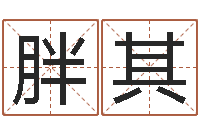 赵胖其算命绪-起网名命格大全