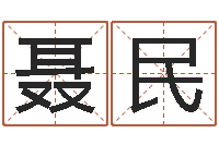 聂民掌上排盘-取名打分网