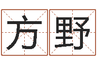 谷方野尚命面-风水罗盘的使用方法