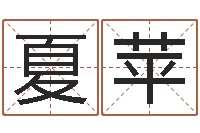 李夏苹易命著-办公室办公桌