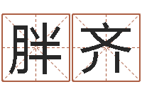 翁胖齐四柱答疑-周易八字测名字打分