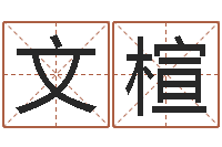 王文楦饱命易-择日重生