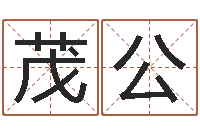 邓茂公李洪成初级四柱-免费四柱预测软件