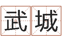 武城富命宝-雅诗兰黛红石榴水