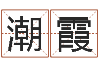 王潮霞纯命渊-远征军全集下载