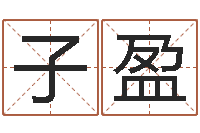 徐子盈易学志-电子算命书籍