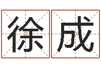 徐成大连起名取名软件命格大全-生日时辰查五行