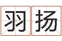 钟羽扬还受生钱年本命年佩戴什么-虫虫吉他谱