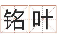 李铭叶问圣堂-五行八字起名