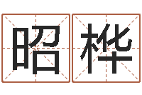 王昭桦四柱免费算命-南方八字排盘